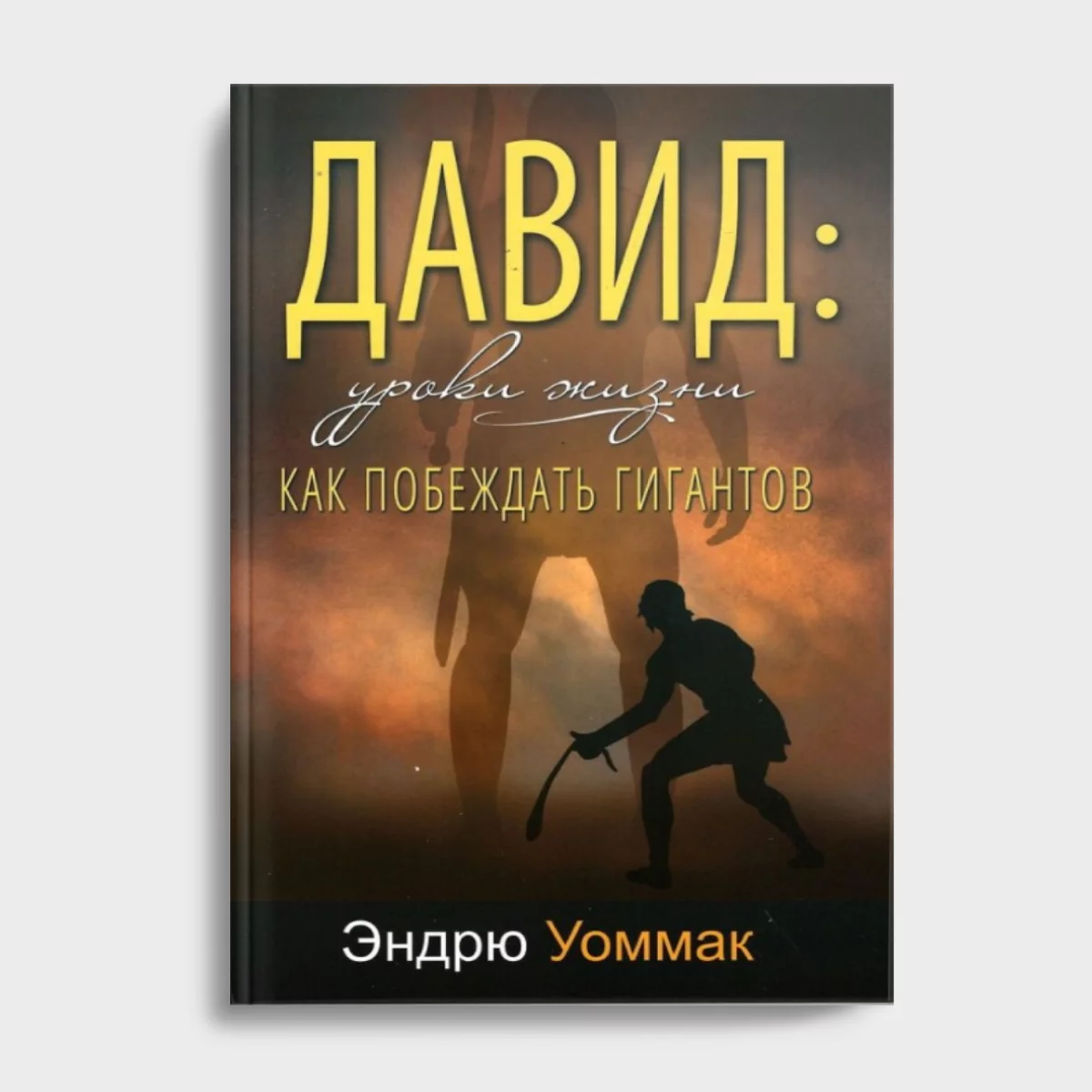 Дизайн без названия(45) Давид: уроки жизни. Как побеждать гигантов — изображение 1