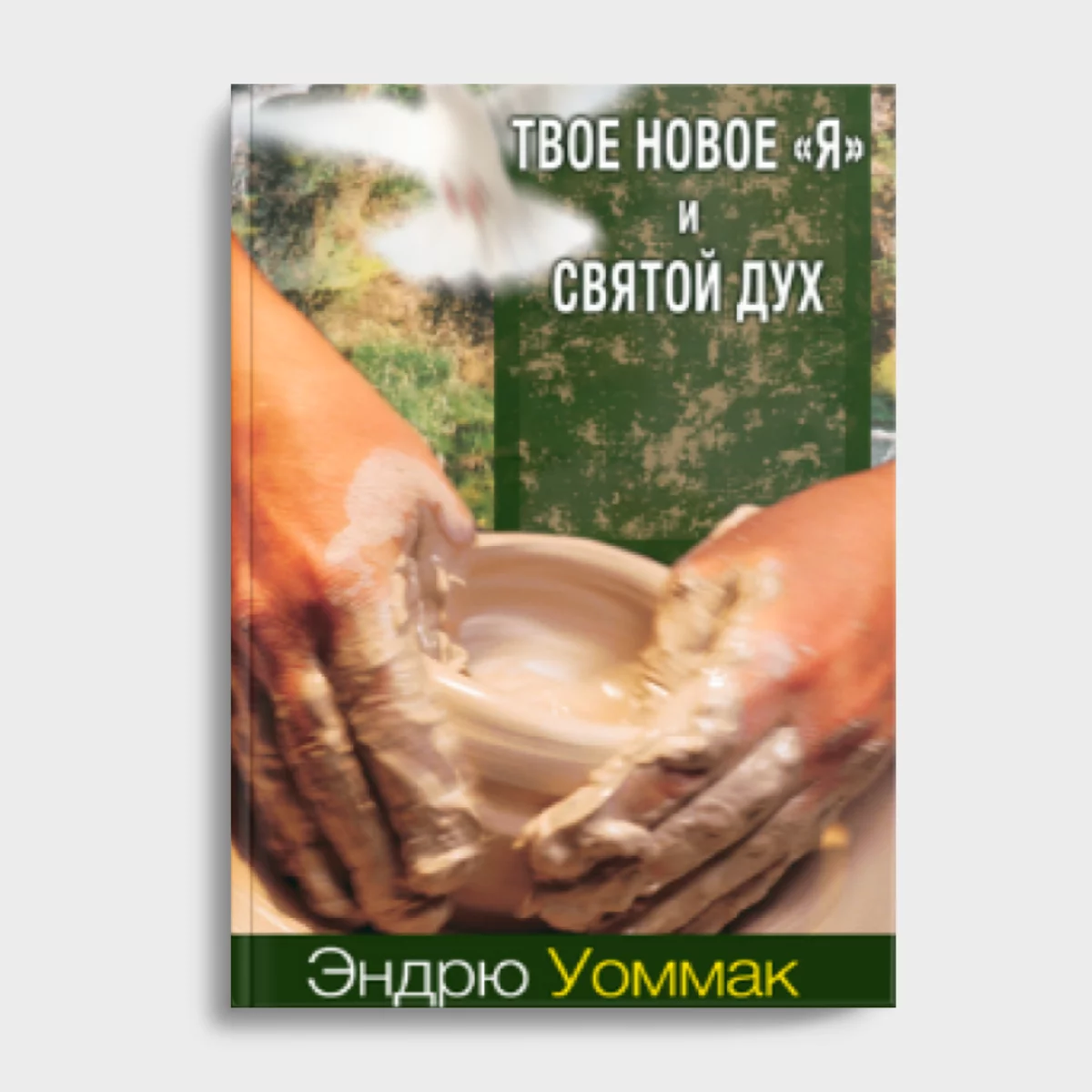 Твердое Основание(21) Твое новое "Я" и Святой Дух — изображение 1