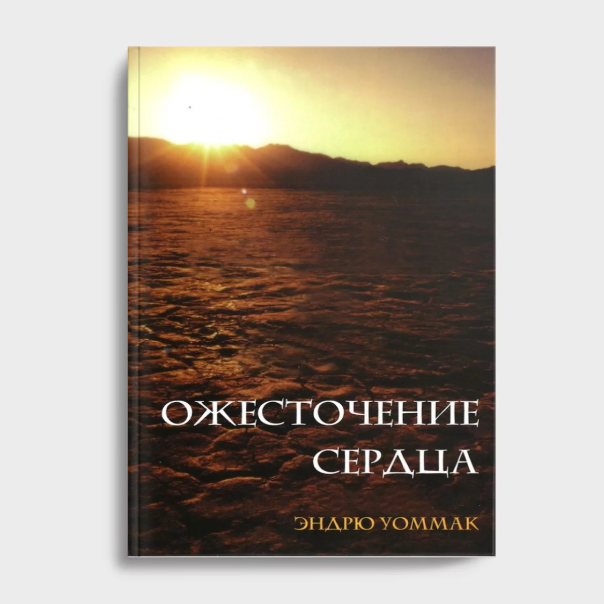 Твердое Основание(23) Ожесточение сердца — изображение 1
