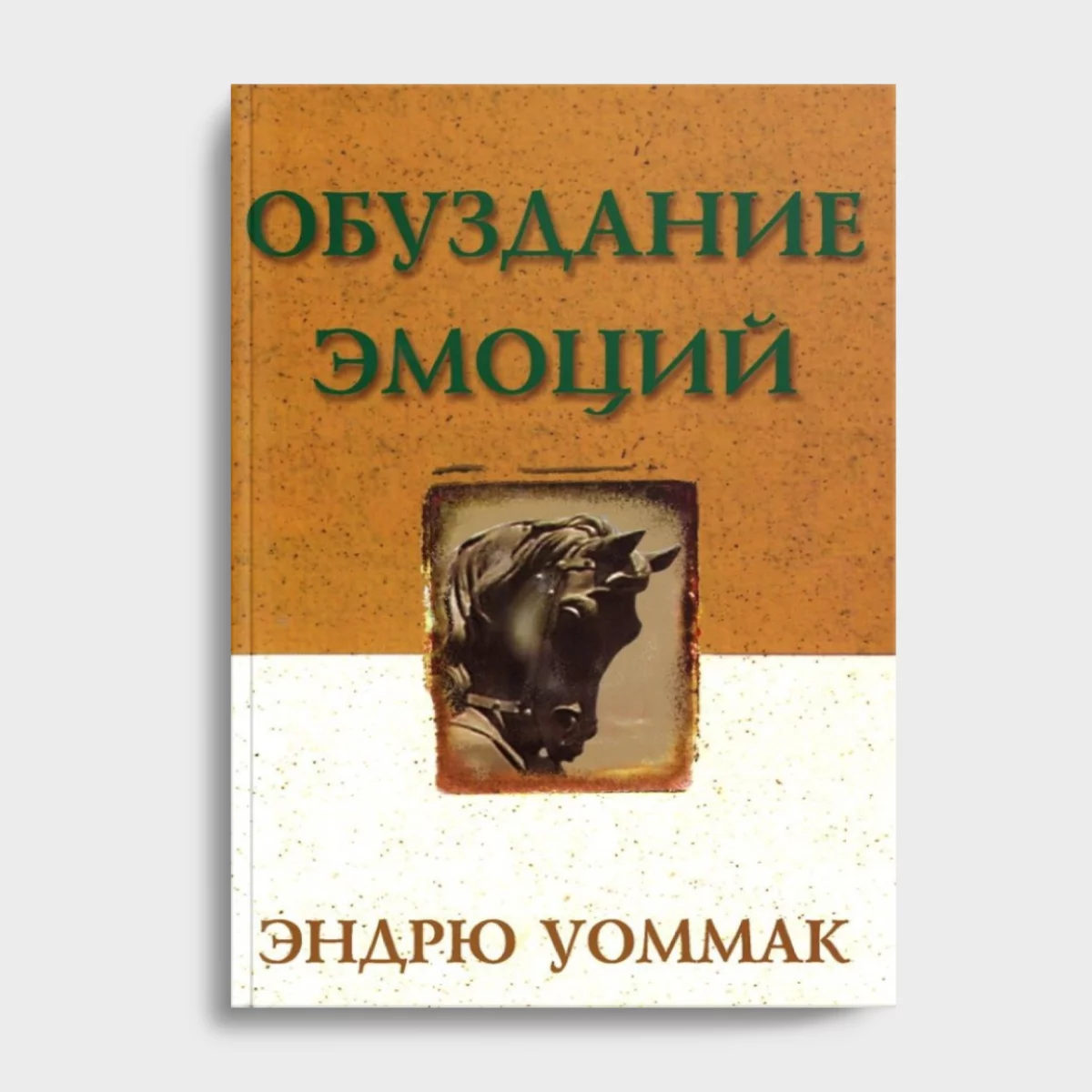 Твердое Основание(24) Обуздание эмоций — изображение 1